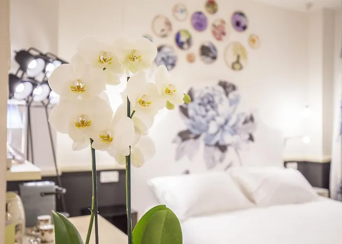 Cinque Guest house 4*