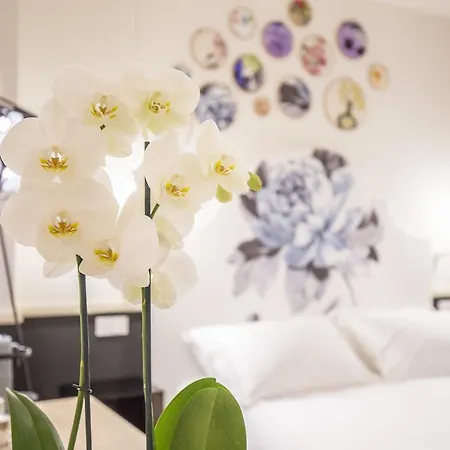 Cinque Guest house 3*
